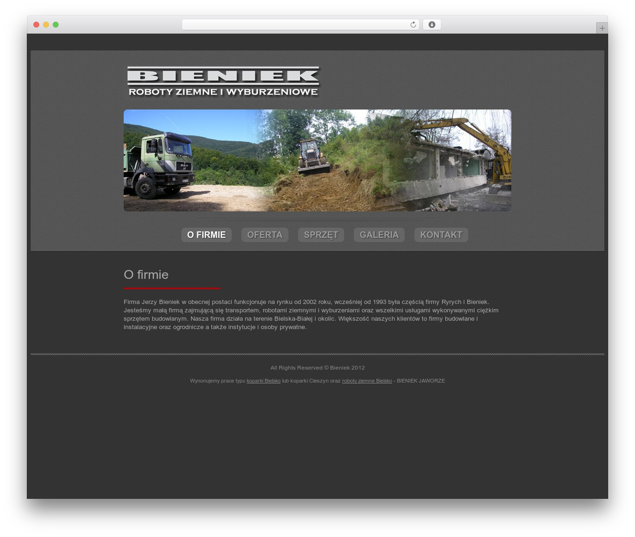 WordPress theme Profile Theme - bieniek-j.pl