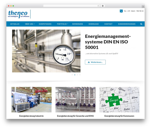 Accesspress Basic Pro WP theme - theneo.de