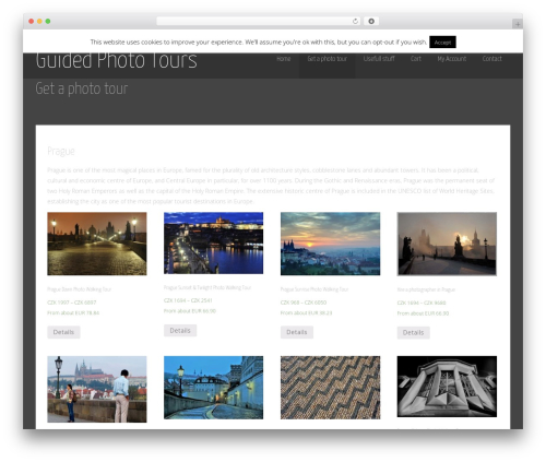 Asteria Lite WordPress theme image - phototours.info