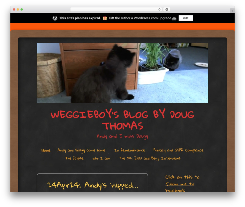 Chalkboard WordPress theme - phainopepla95.com