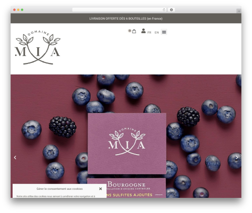 Checkout upsell and order bumps WordPress plugin - domaine-mia.com