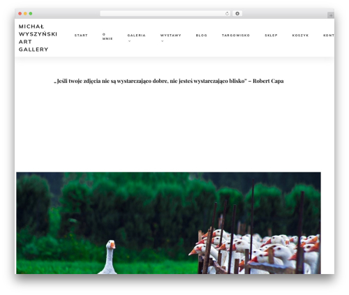 Snapster WordPress theme image - michalwyszynski.com