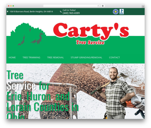 Theme WordPress Hello Elementor - cartystreeservice.com