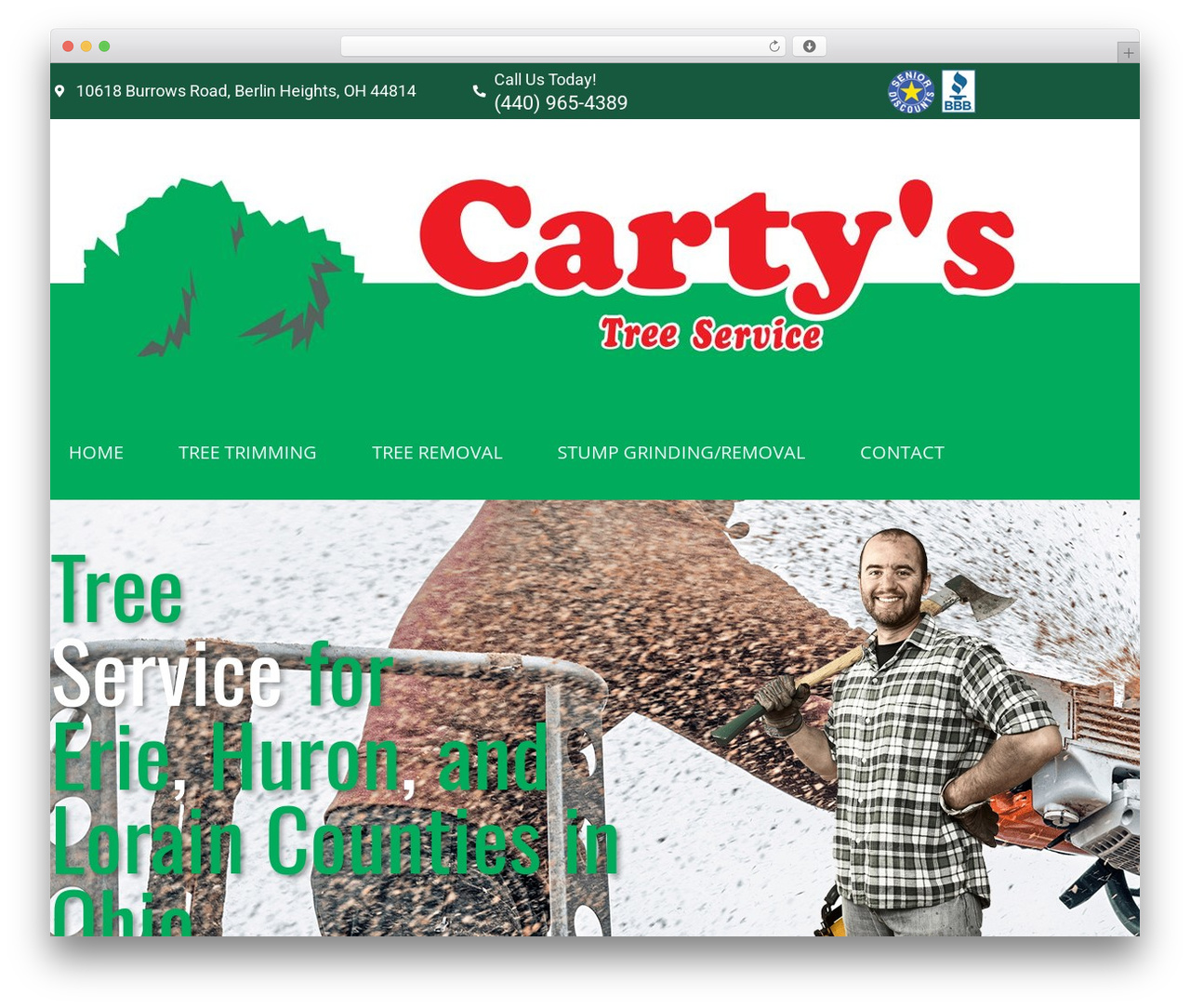 Theme WordPress Hello Elementor - cartystreeservice.com
