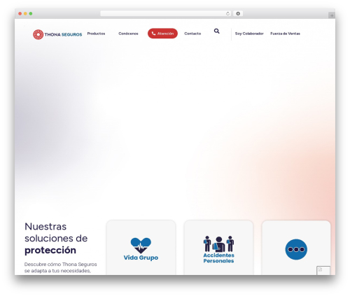 Easy menu icons WordPress plugin - thonaseguros.mx