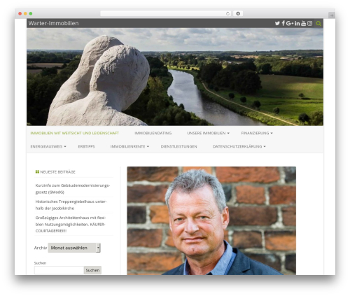 Embedder for google reviews pro WordPress plugin - warter-immobilien.de