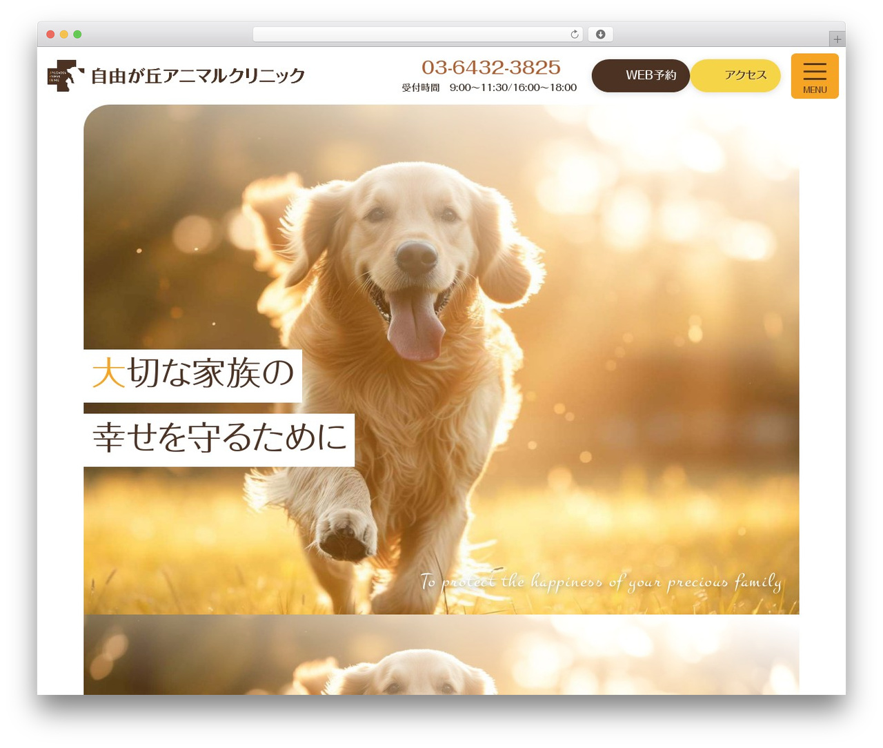 WordPress website theme Custom Theme - jiyugaoka-animal.com WordPress website theme Custom Theme - jiyugaoka-animal.com