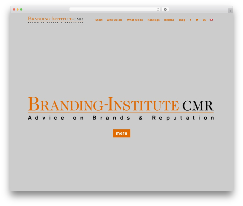 Layers pro extension WordPress plugin - branding-institute.ch