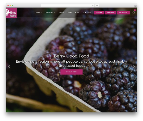 Woocommerce simple auctions WordPress plugin - berrygoodfood.org