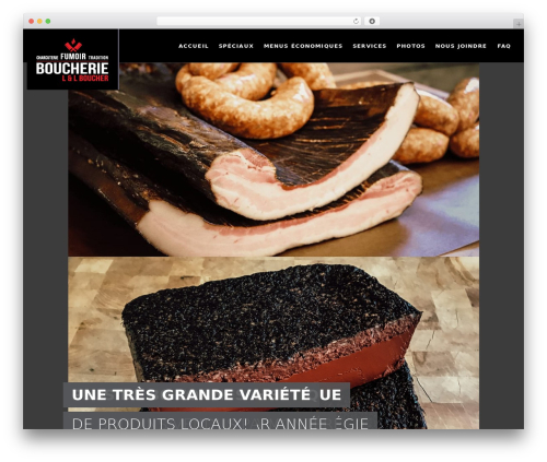 Réactif Lite V2 WordPress page theme - llboucher.com