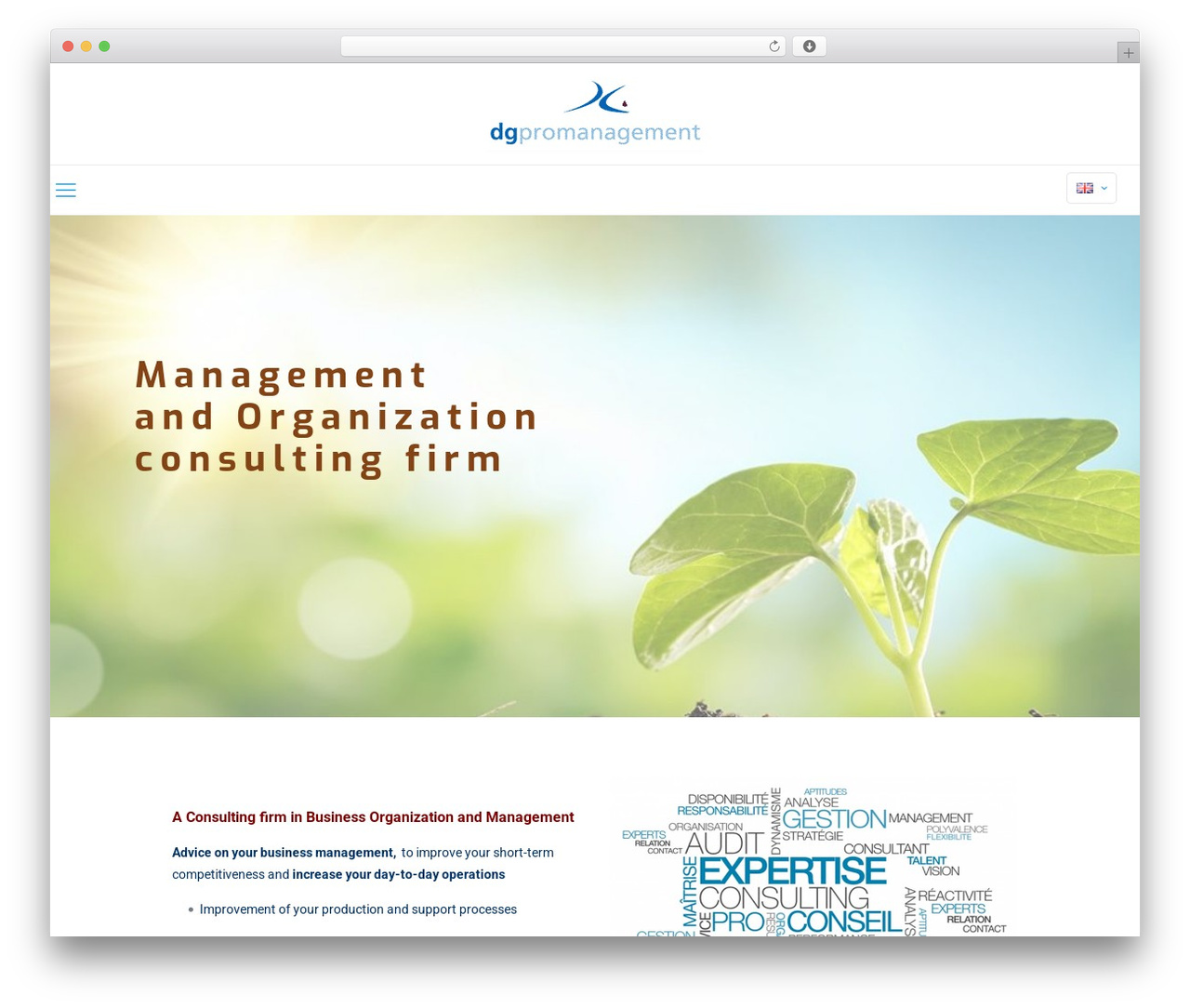 WordPress theme Betheme - dgpromanagement.com
