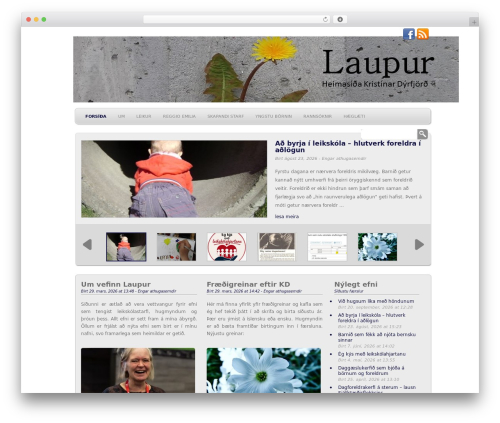 WP-Creativix theme WordPress - laupur.is
