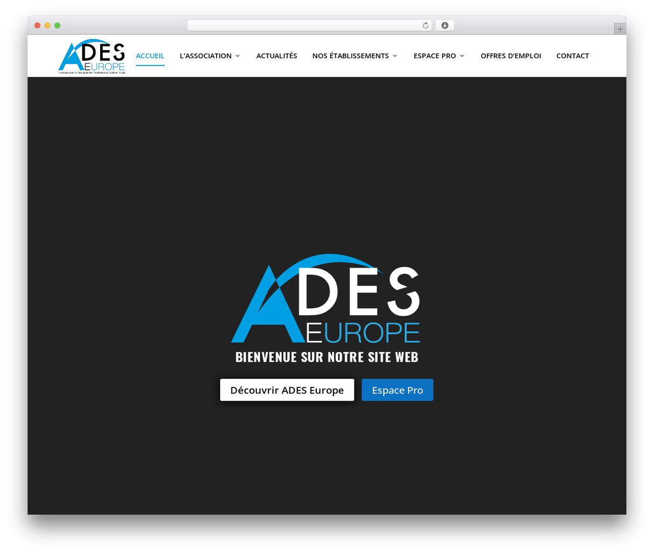 Extra WordPress theme - adeseurope.fr
