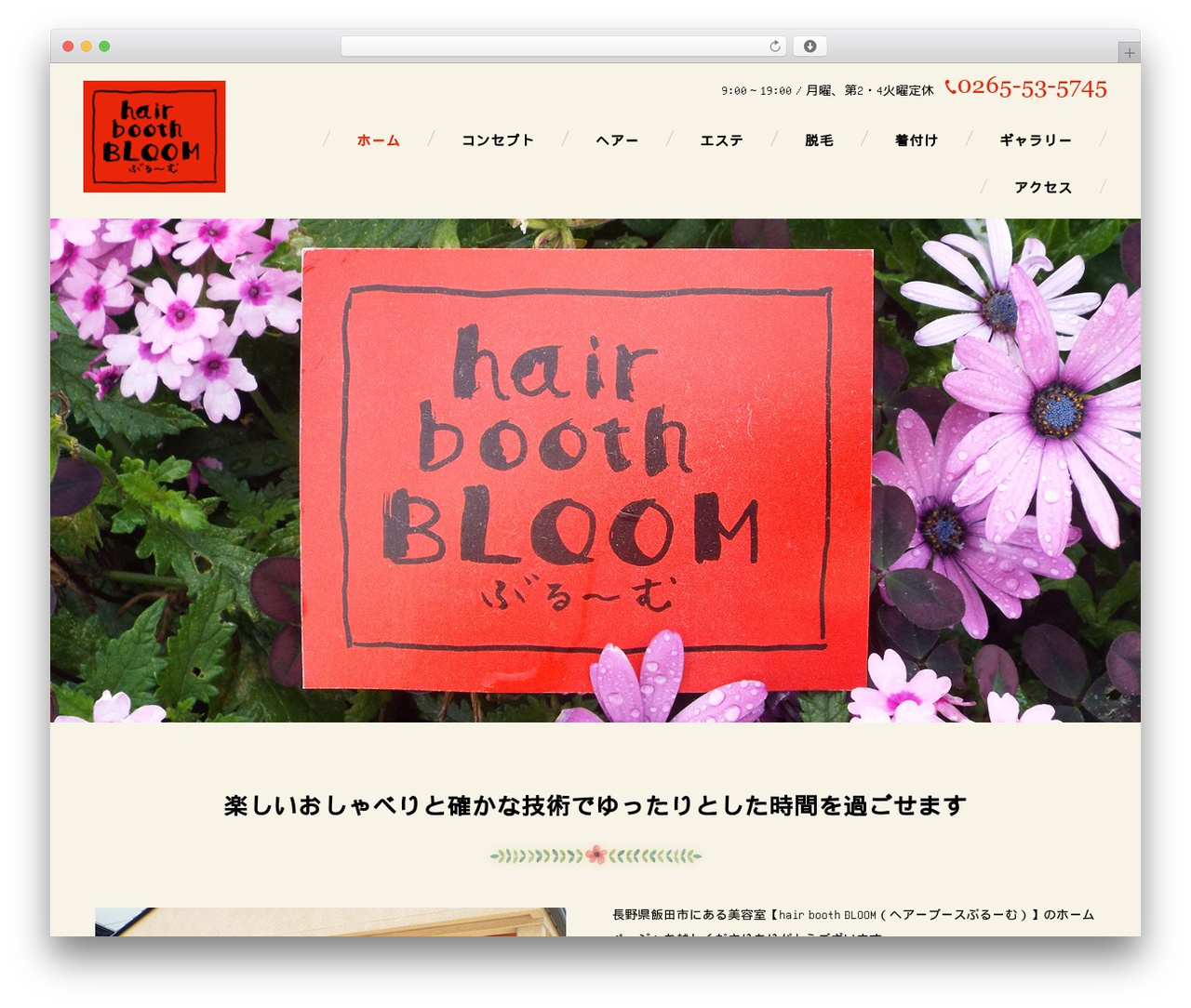 WordPress website theme ManaSys - hair-booth-bloom.com
