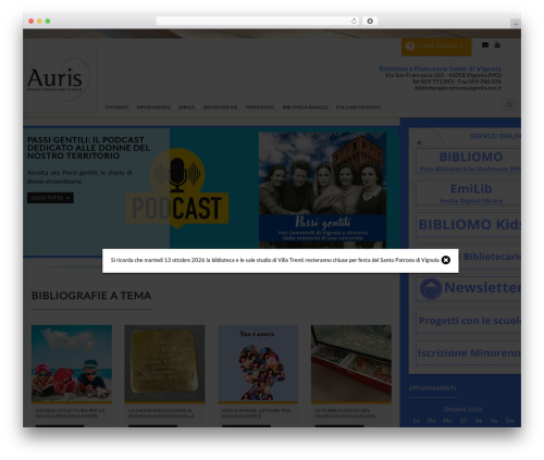 Blaszok WordPress theme - auris.it