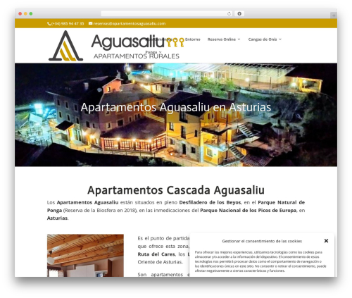 Divi theme WordPress - apartamentosaguasaliu.com