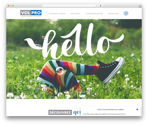 Divi WordPress theme - volpro.com