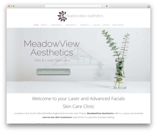 Theme WordPress Create - meadowviewaesthetics.co.uk