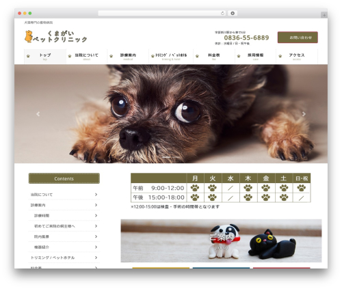 Lightning skin pale WordPress plugin - kumagai-petclinic.com