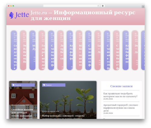 Clearfy pro WordPress plugin - jette.ru