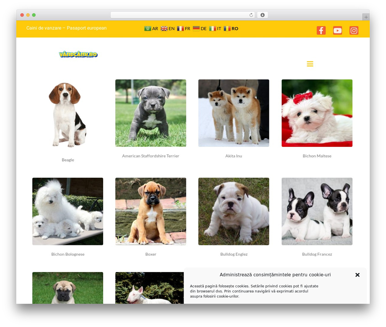 WordPress theme JupiterX - vandcaini.ro WordPress theme JupiterX - vandcaini.ro