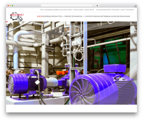 Divi WordPress theme - www.megamo.com.mx