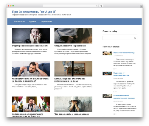 Expert review WordPress plugin - prozavisimost.ru