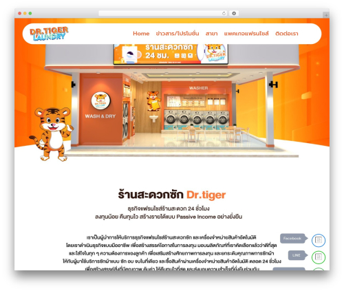 Proelements 3.32.1 WordPress plugin - drtigerld.com