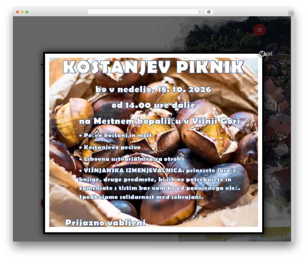 Divi WordPress theme - td-visnjagora.si Divi WordPress theme - td-visnjagora.si