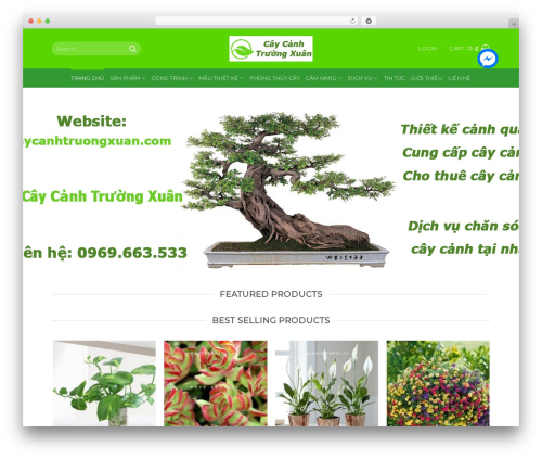 Facebook messenger WordPress plugin - caycanhtruongxuan.com