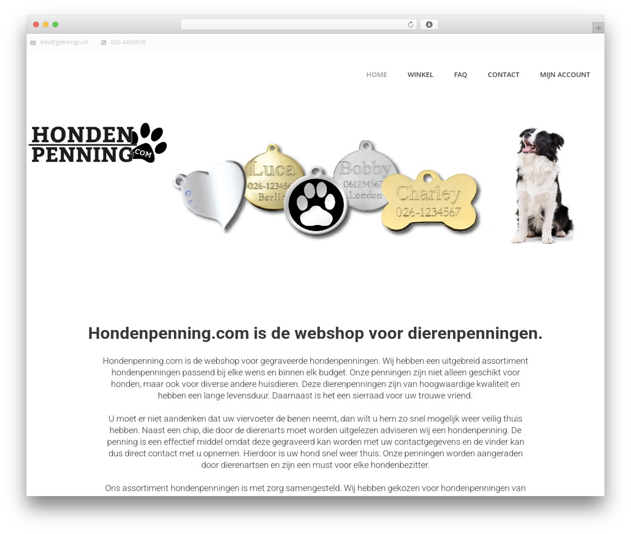 Linstar theme WordPress - hondenpenning.com Linstar theme WordPress - hondenpenning.com