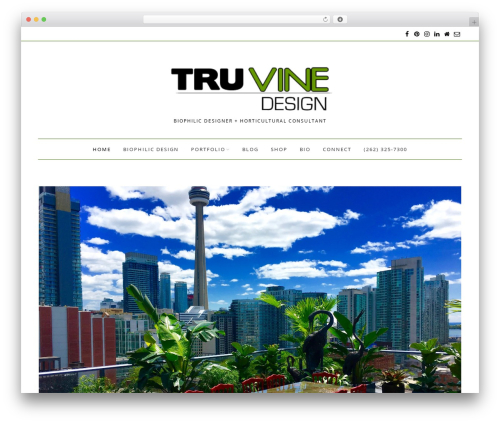 Simple elegant portfolio WordPress plugin - truvinedesign.com