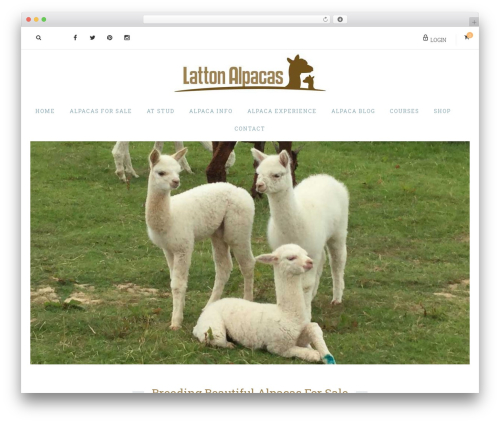 Tesla framework WordPress plugin - lattonalpacas.co.uk