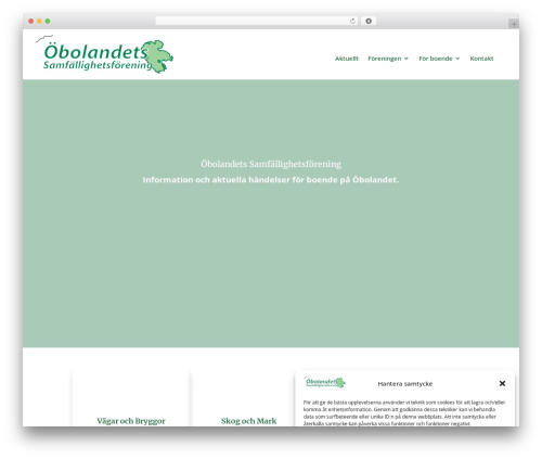 Divi builder experience helper WordPress plugin - obolandet.com