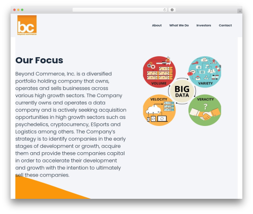 Tenweb builder WordPress plugin - beyondcommerceinc.com