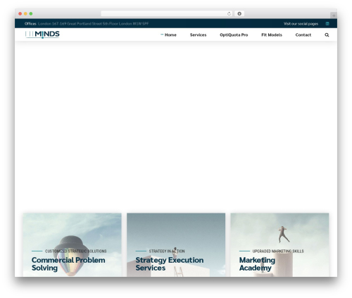 Bold timeline WordPress plugin - fitmindsstrategyconsulting.com