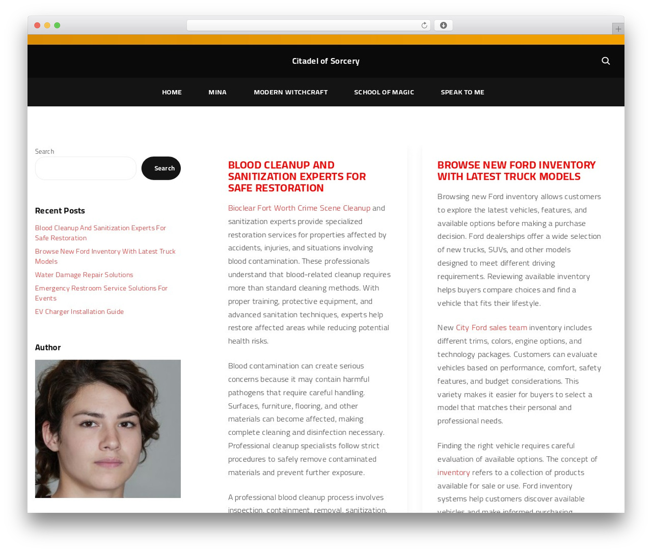 WordPress theme ExS - citadelofsorcery.com