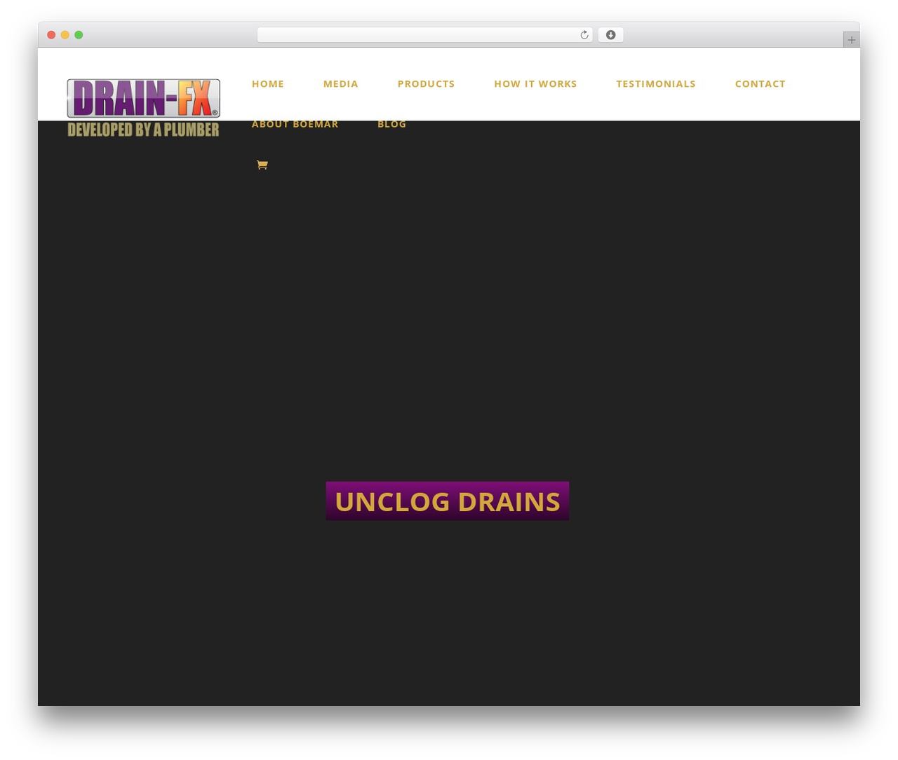 Divi WordPress theme - drainfx.com