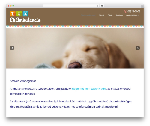 Wp booking calendar WordPress plugin - ebambulancia.hu