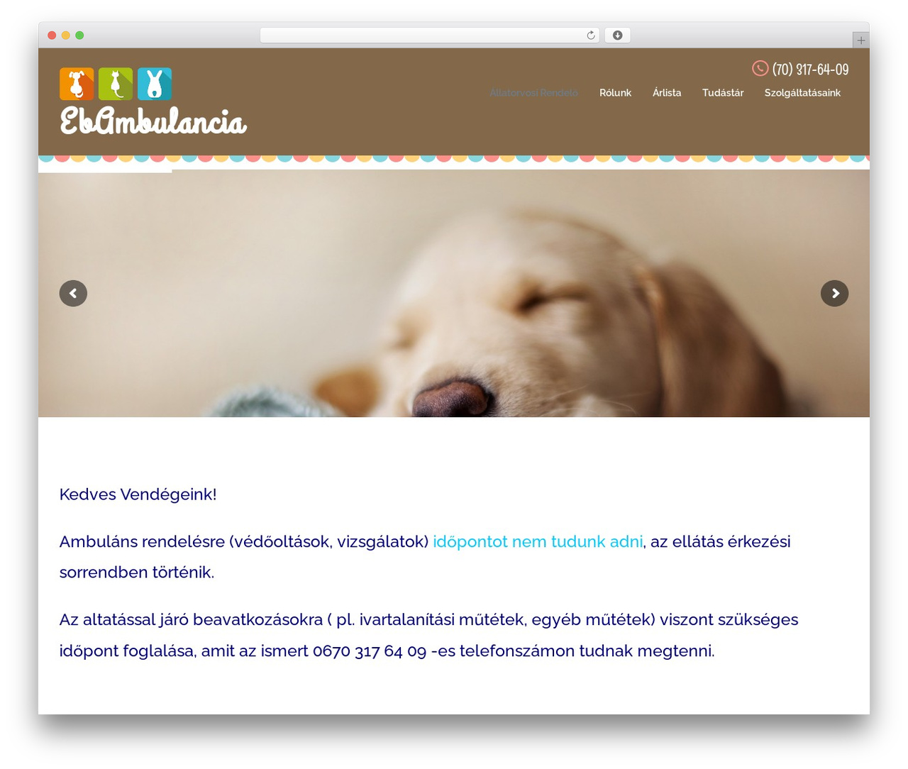 Pet WordPress theme - ebambulancia.hu Pet WordPress theme - ebambulancia.hu