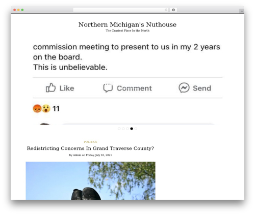 Writee WordPress theme - traversecityblog.com
