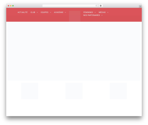 BigSlam WP theme - slnfc.com