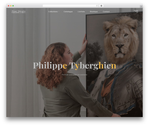 Organic Widget Area Block (organic-widget-area-block) free WordPress plugin - philippetyberghien.com