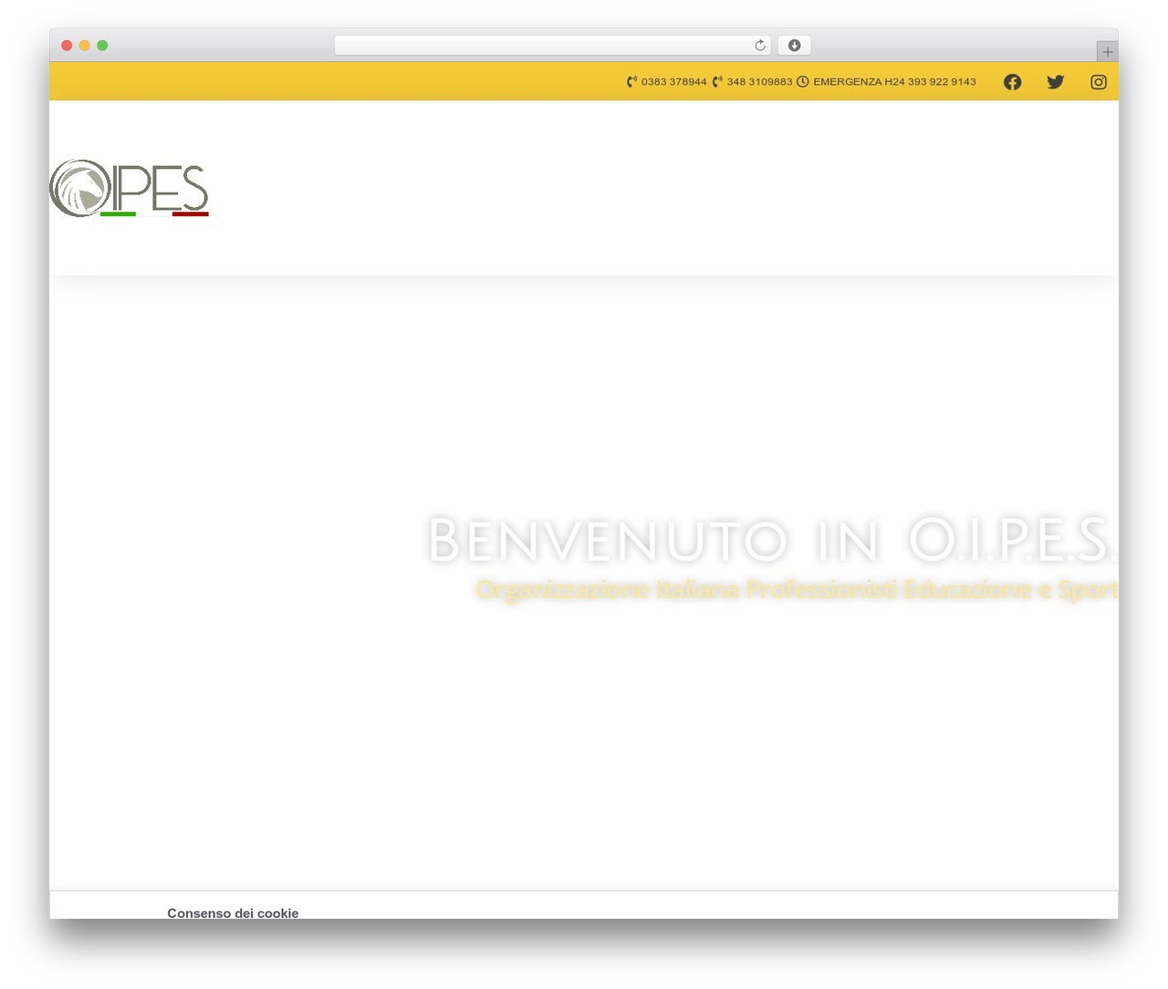 Hello Elementor theme WordPress - oipesitalia.org