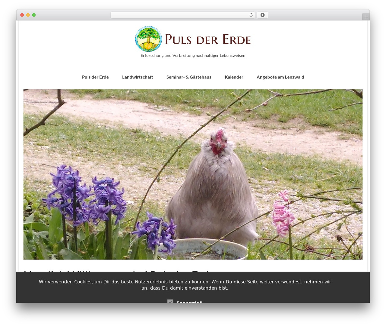 Virtue best free WordPress theme - pulsdererde.org Virtue best free WordPress theme - pulsdererde.org