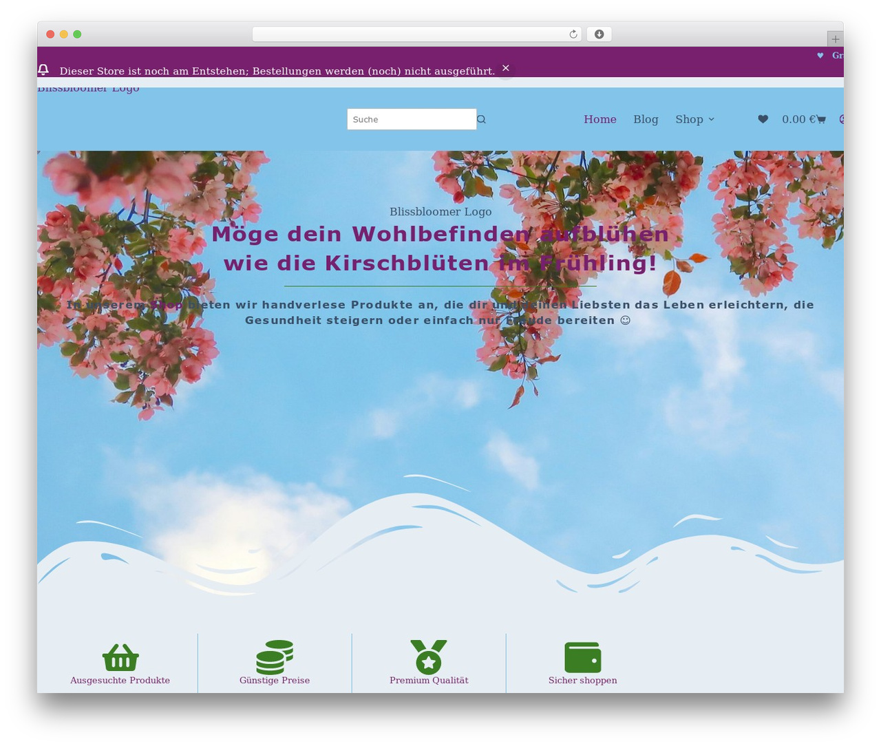 WordPress theme Blocksy Child - blissbloomer.net