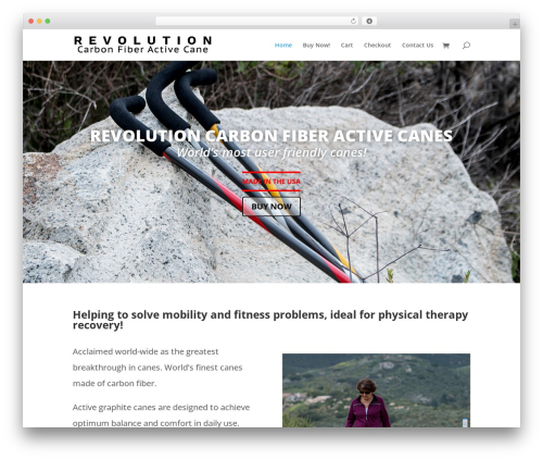 WordPress theme Divi - revcanes.com