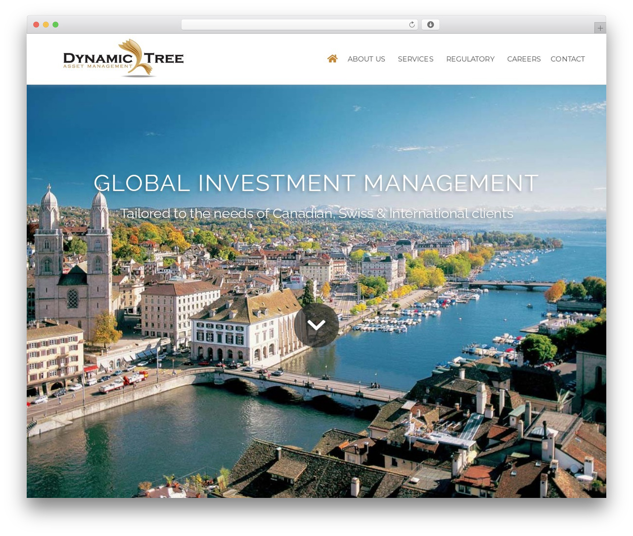 Dynamic-purpose WordPress theme - dynamictree.com