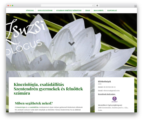 Widgets for google reviews and ratings WordPress plugin - elterzsuzsi.hu