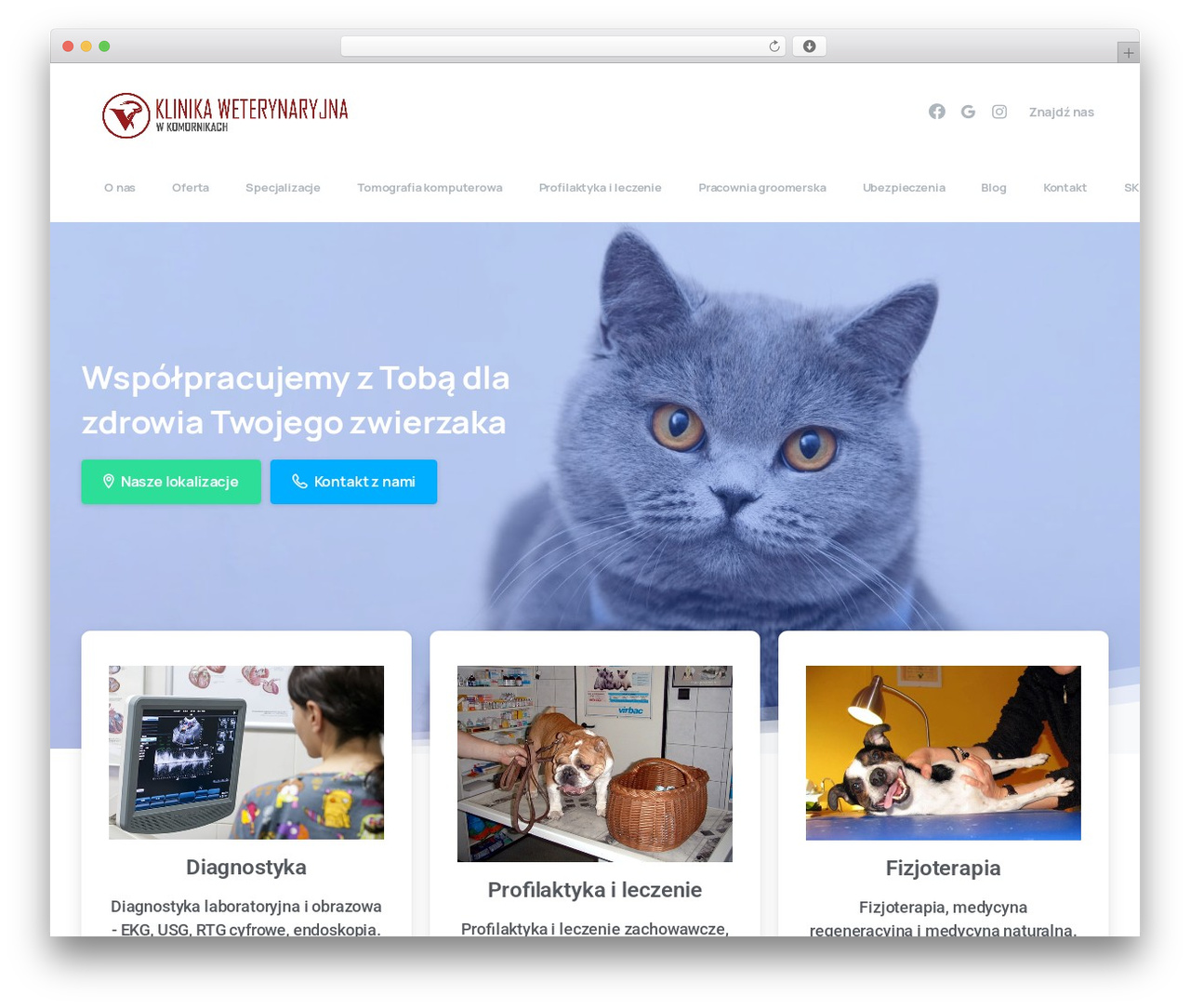 WordPress theme Essentials - klinika-weterynaryjna.com